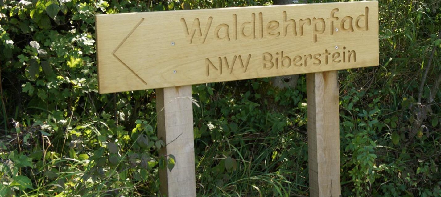 Auf zum Waldlehrpfad!